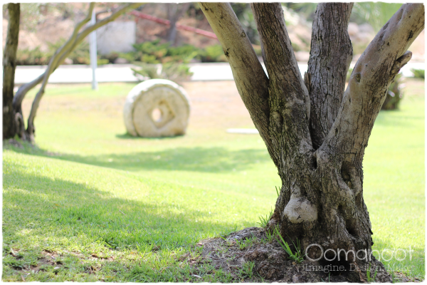 Brace Yourself – Summer is Over | Oomanoot Brace Yourself – Summer is Over | Oomanoot