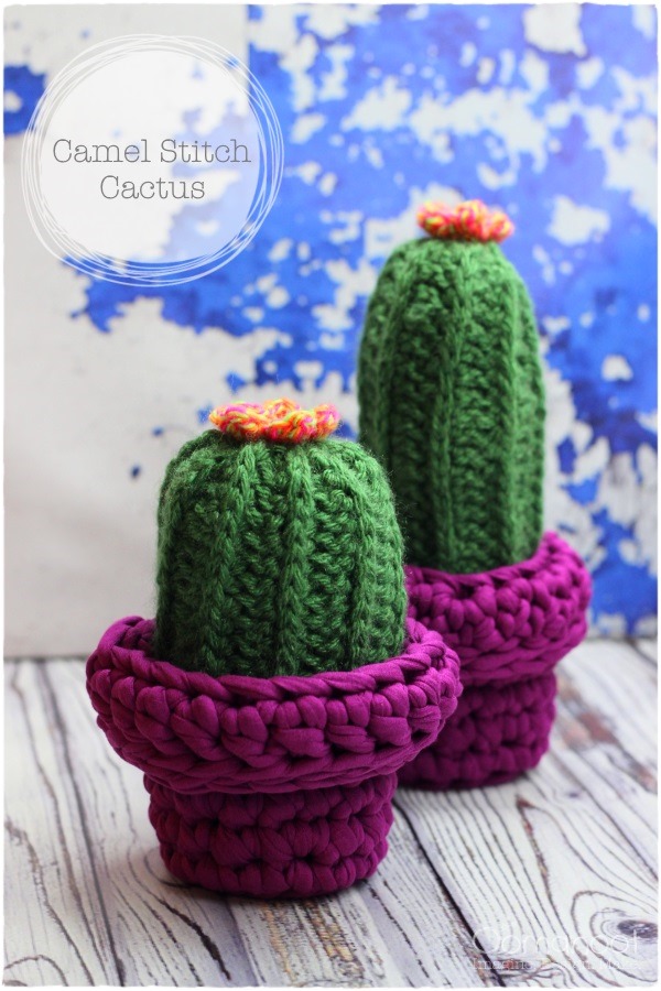 Crochet Camel Stitch Cactus | Oomanoot #cactus #crochet #free #tutorial #camelstitch
